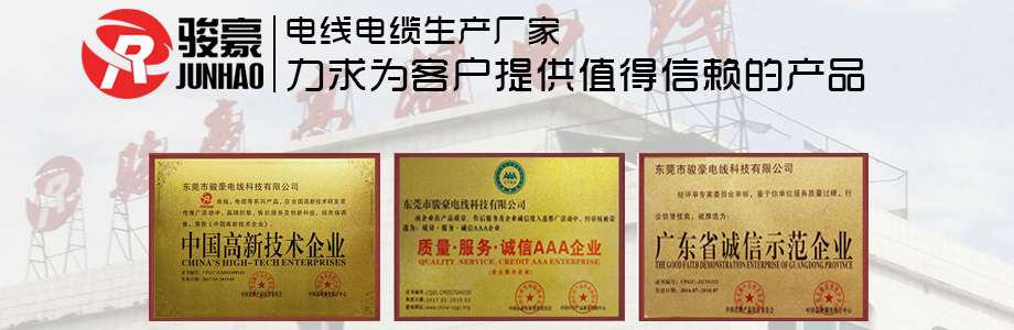 公海gh555000aa线路检测电线荣誉证书展示